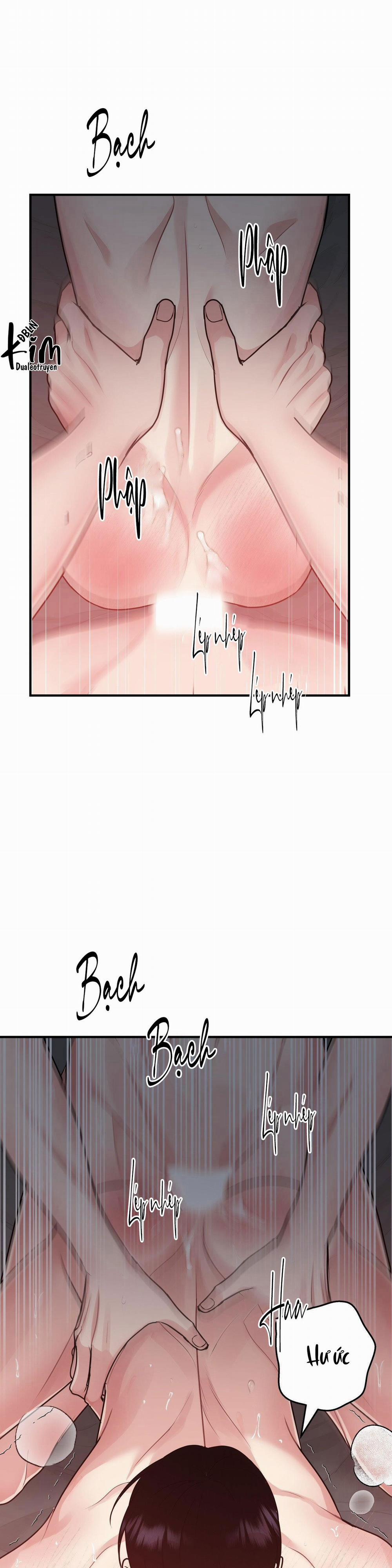 Điều 260 Bộ Luật Hình Sự 1 H+ trang 26