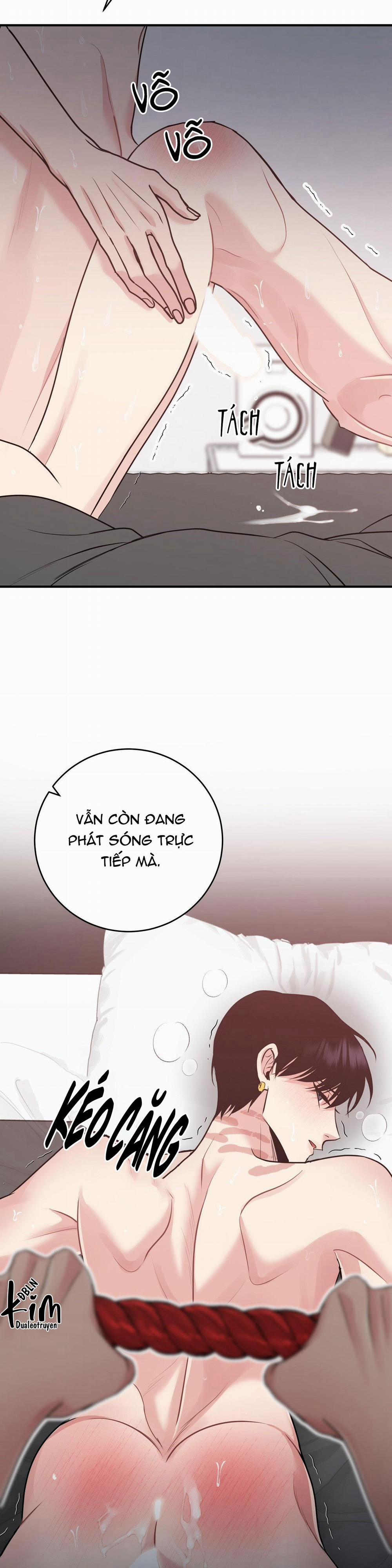 Điều 260 Bộ Luật Hình Sự 1 H+ trang 28