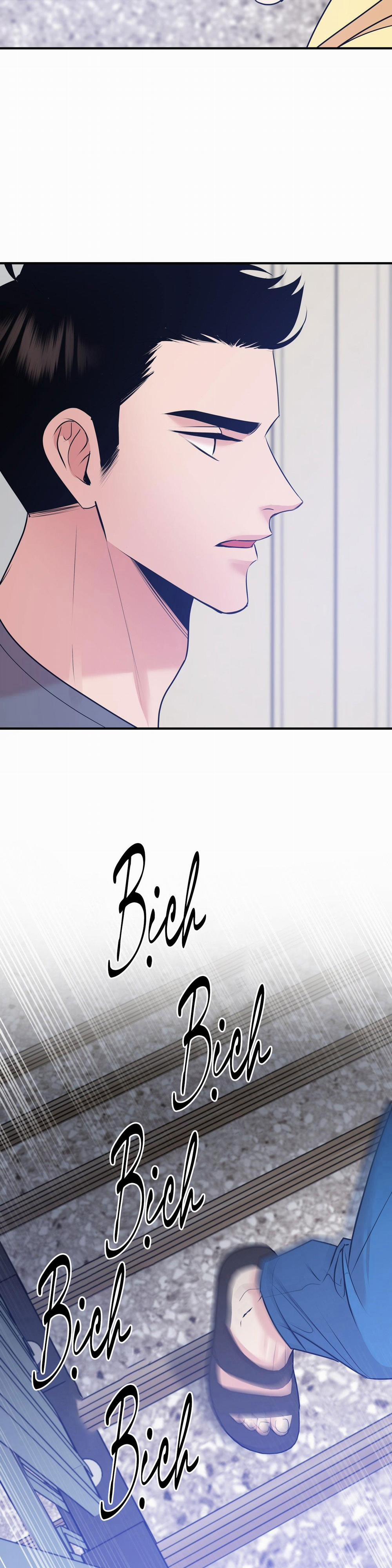 Điều 260 Bộ Luật Hình Sự 1 trang 24