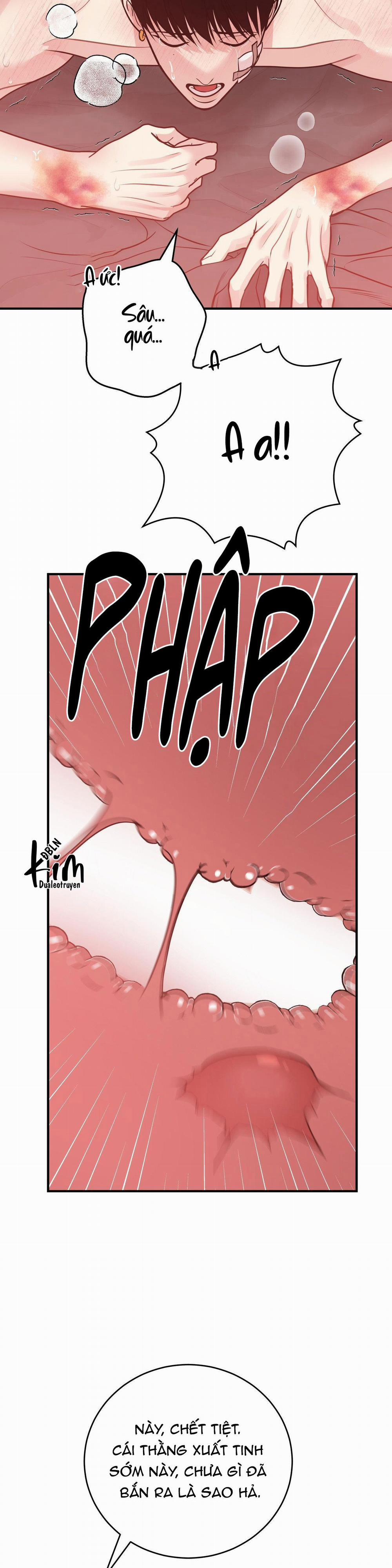 Điều 260 Bộ Luật Hình Sự 1 trang 27