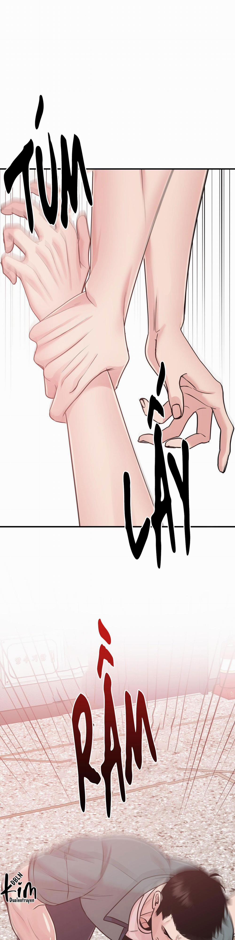 Điều 260 Bộ Luật Hình Sự 1 trang 34