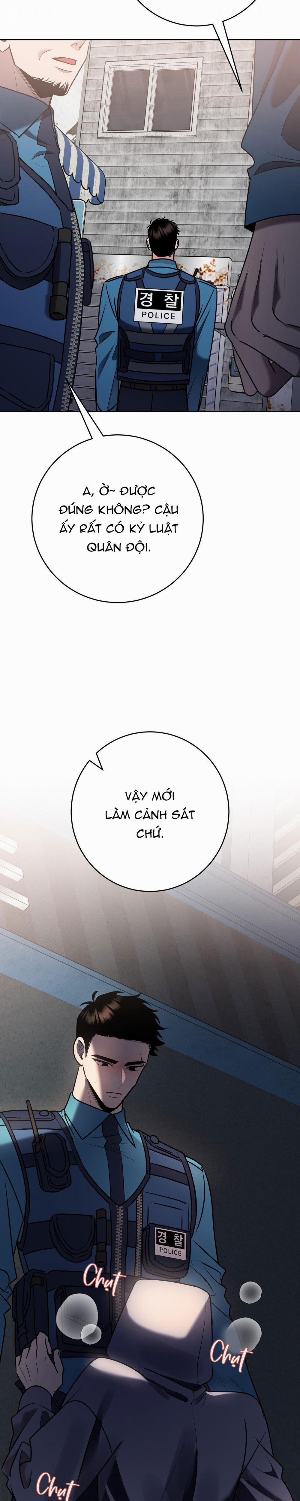 Điều 260 Bộ Luật Hình Sự 10 trang 13