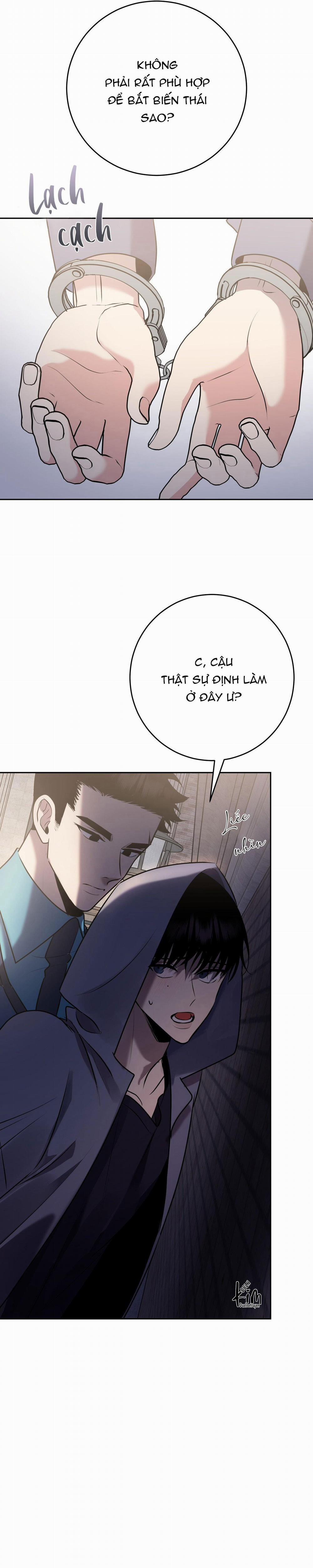 Điều 260 Bộ Luật Hình Sự 10 trang 16