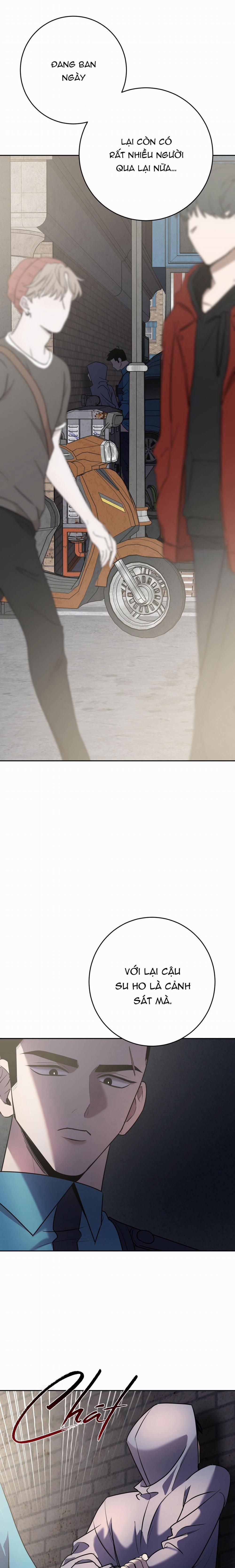 Điều 260 Bộ Luật Hình Sự 10 trang 17