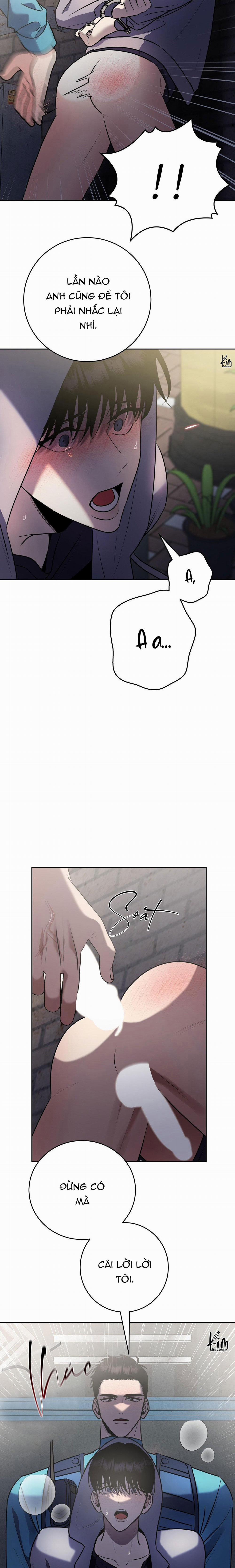 Điều 260 Bộ Luật Hình Sự 10 trang 18