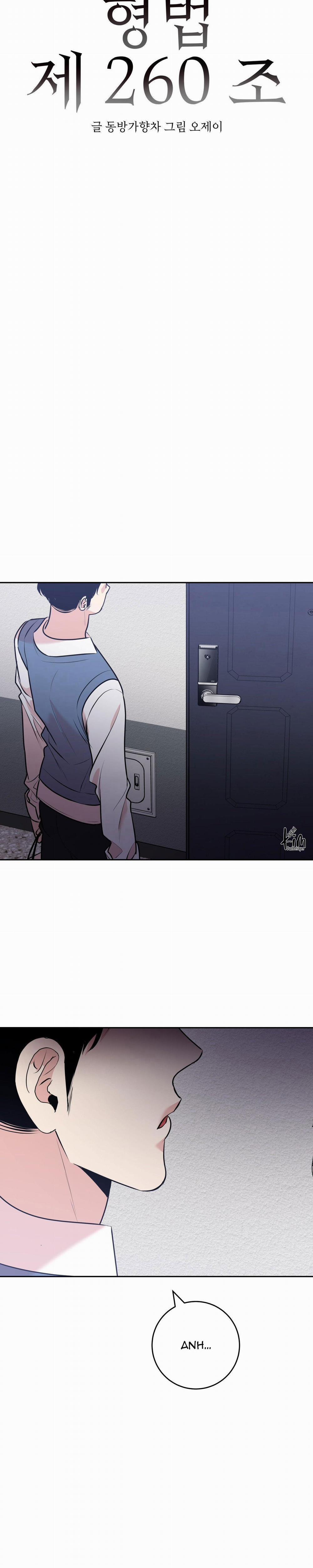 Điều 260 Bộ Luật Hình Sự 10 trang 2