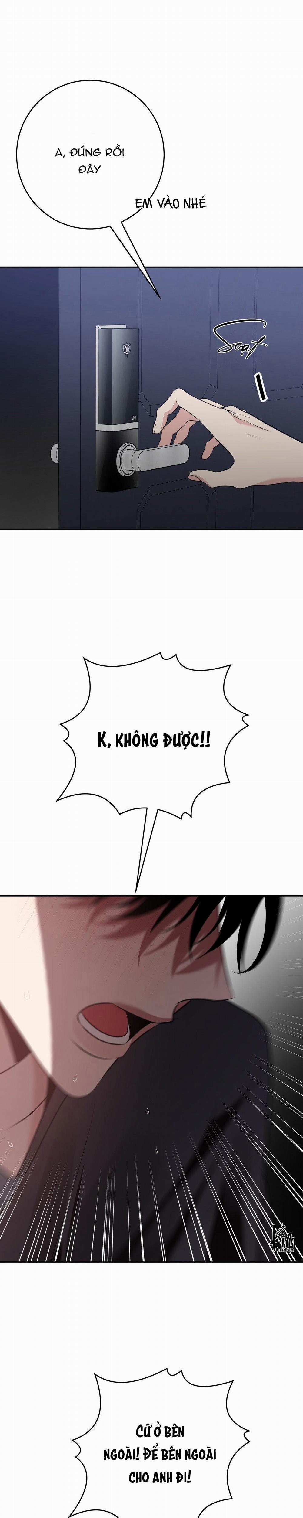 Điều 260 Bộ Luật Hình Sự 10 trang 4