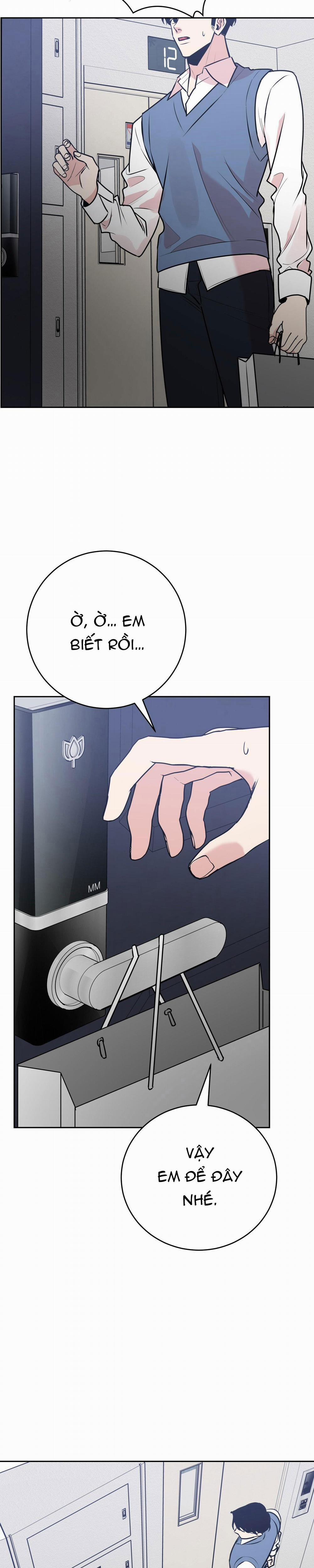 Điều 260 Bộ Luật Hình Sự 10 trang 5