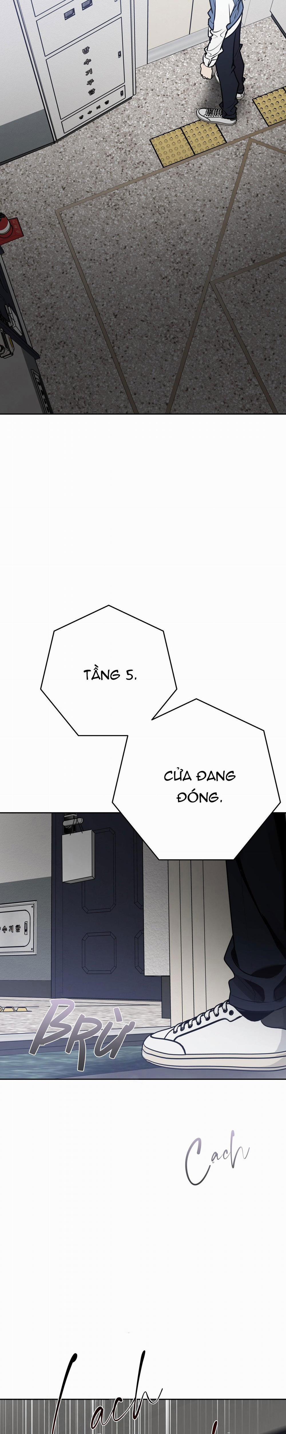 Điều 260 Bộ Luật Hình Sự 10 trang 6