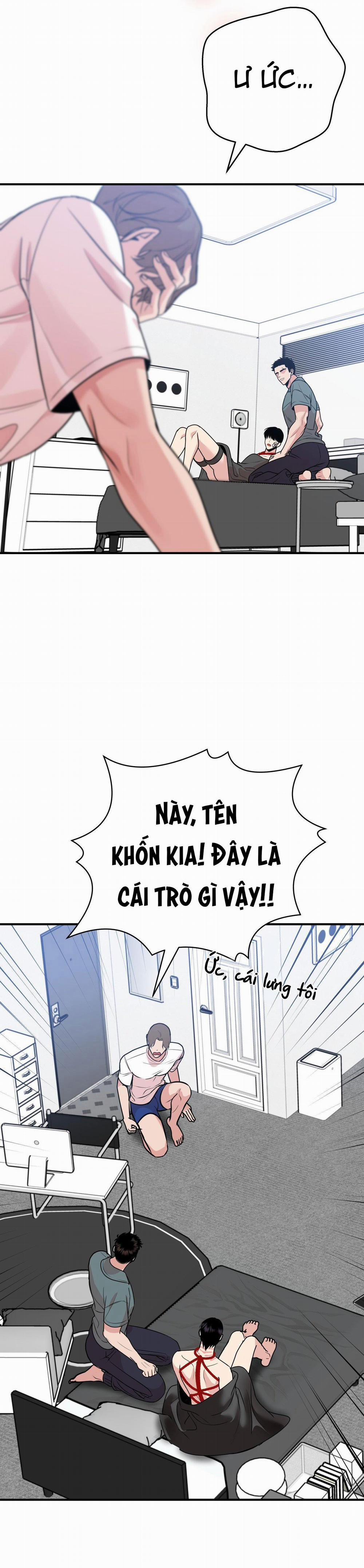 Điều 260 Bộ Luật Hình Sự 2 trang 10