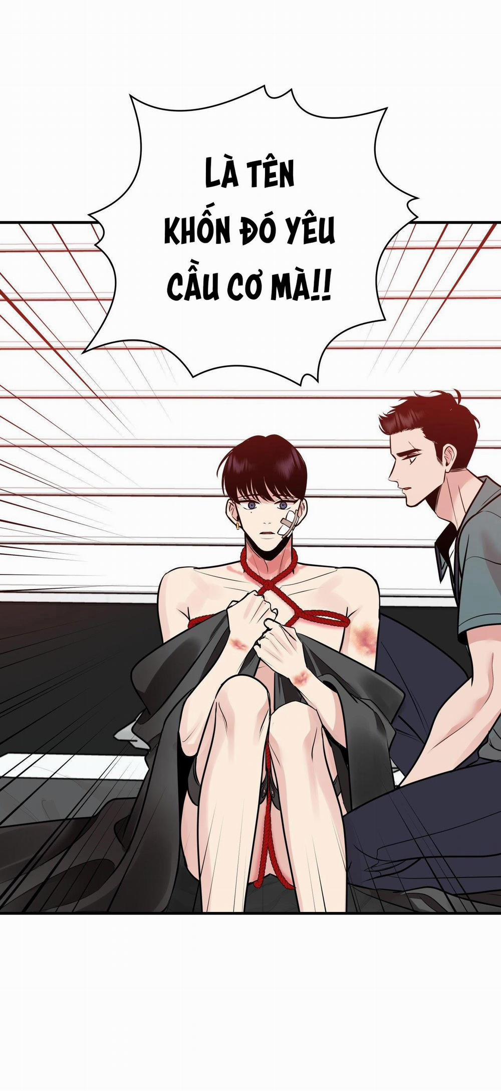 Điều 260 Bộ Luật Hình Sự 2 trang 13