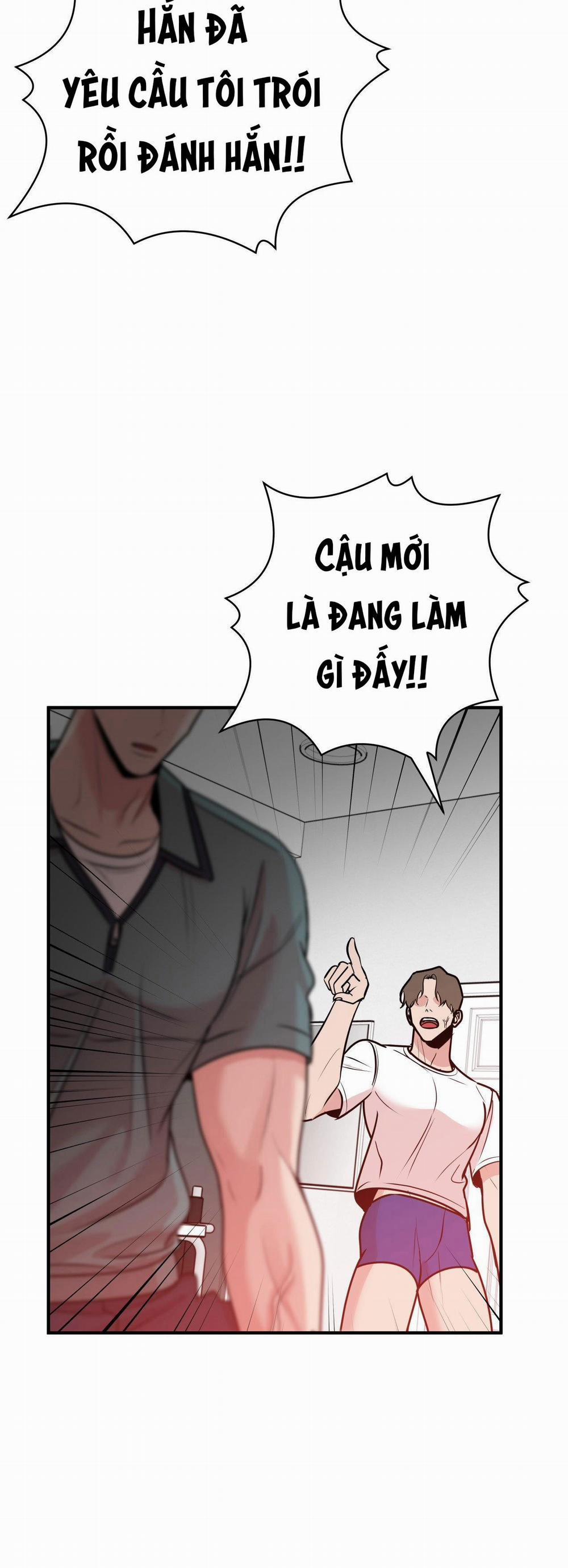 Điều 260 Bộ Luật Hình Sự 2 trang 15