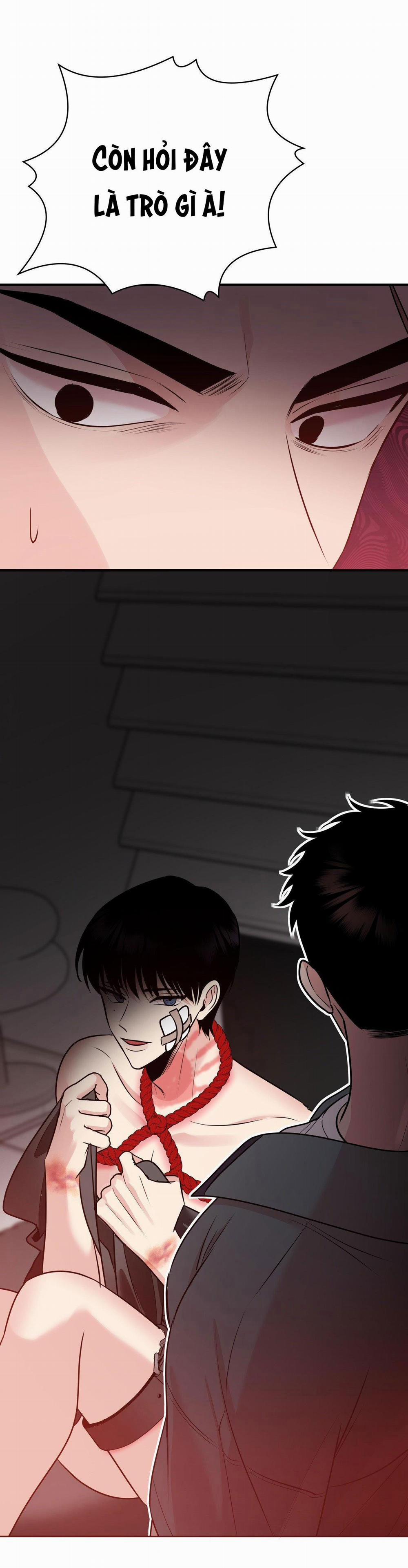 Điều 260 Bộ Luật Hình Sự 2 trang 16