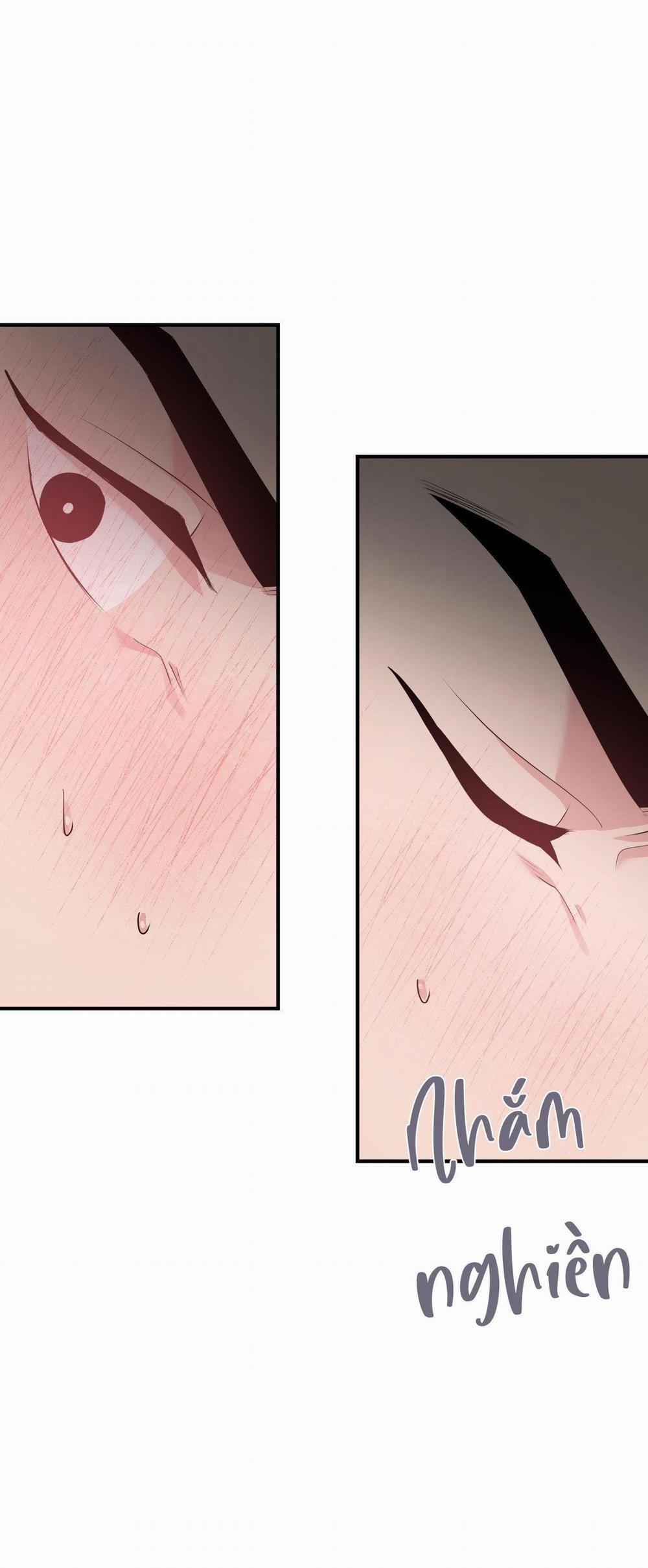 Điều 260 Bộ Luật Hình Sự 2 trang 3