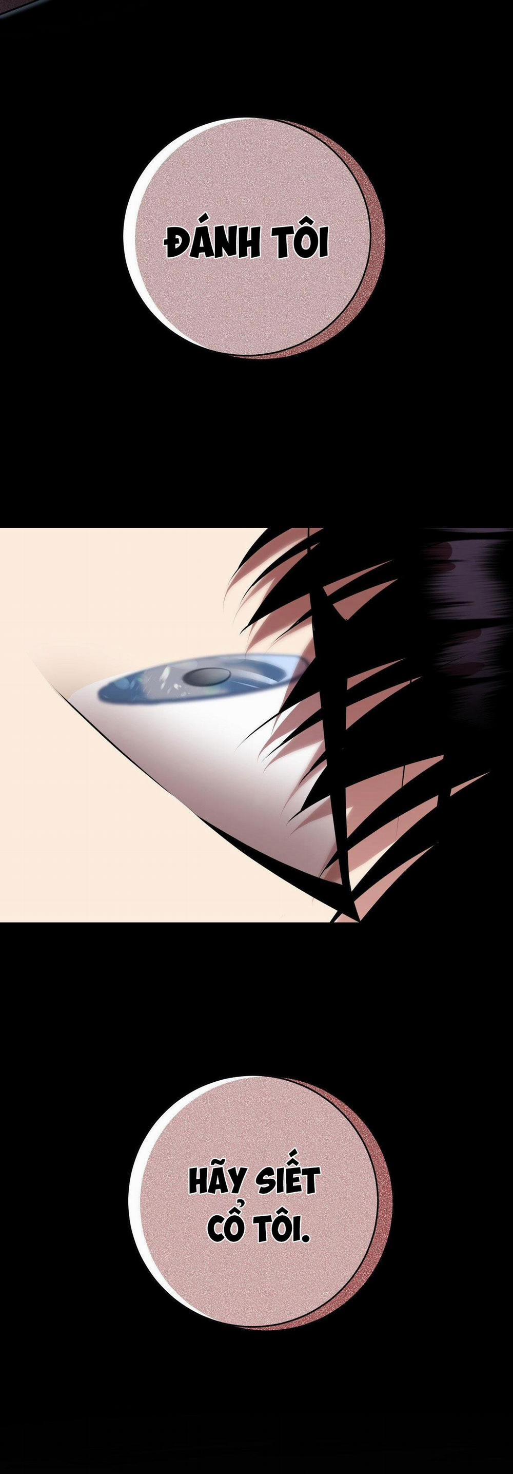 Điều 260 Bộ Luật Hình Sự 2 trang 45