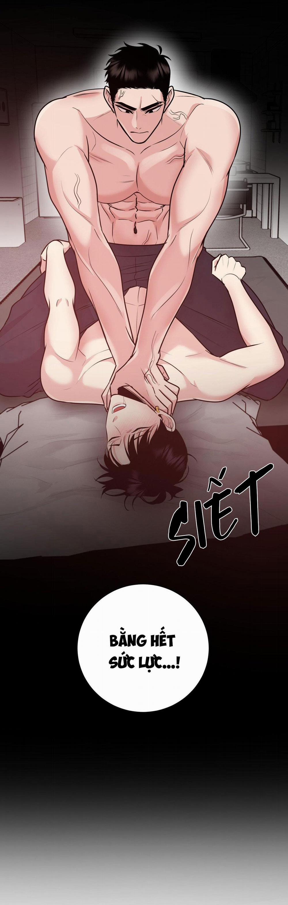 Điều 260 Bộ Luật Hình Sự 2 trang 46