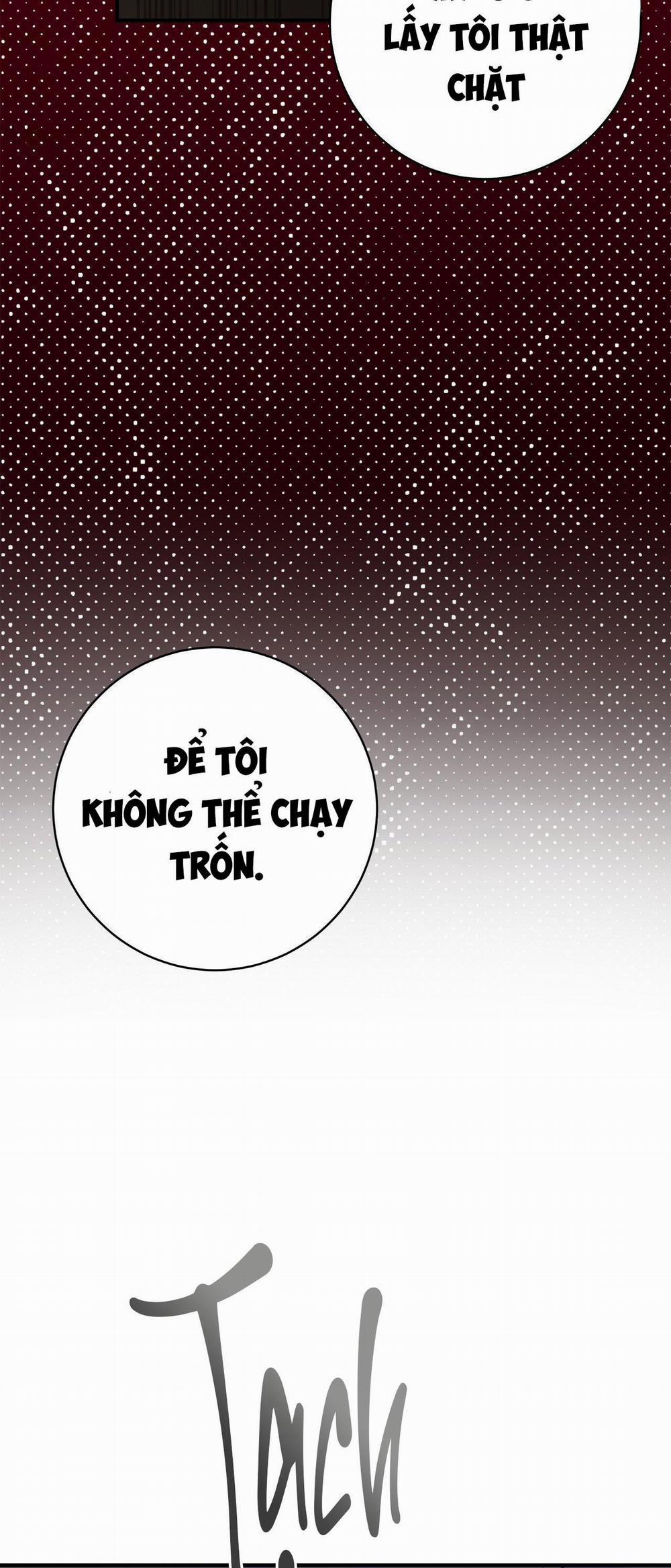 Điều 260 Bộ Luật Hình Sự 2 trang 50