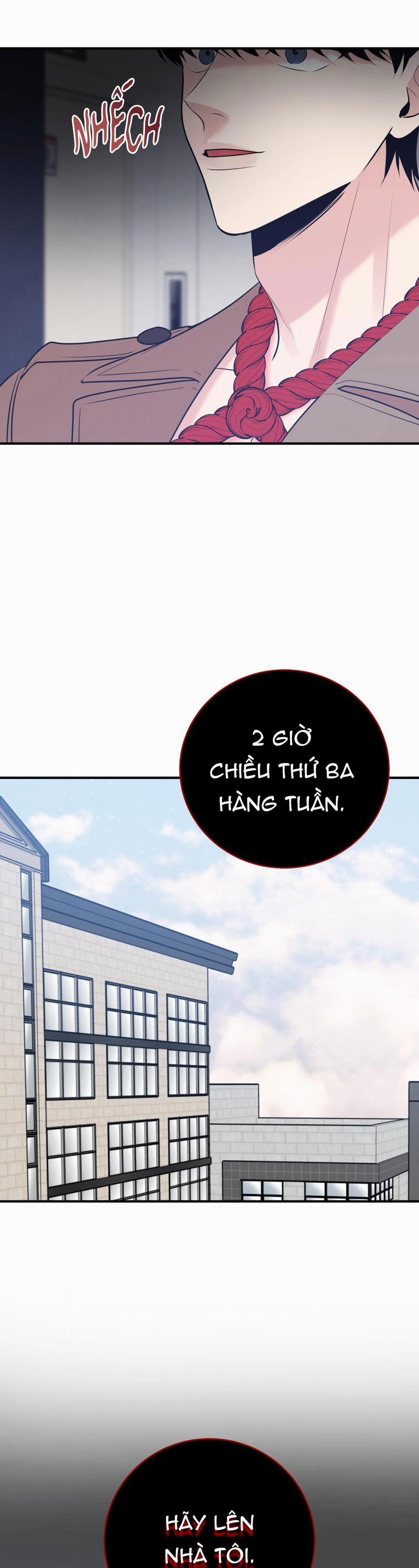 Điều 260 Bộ Luật Hình Sự 2 trang 55