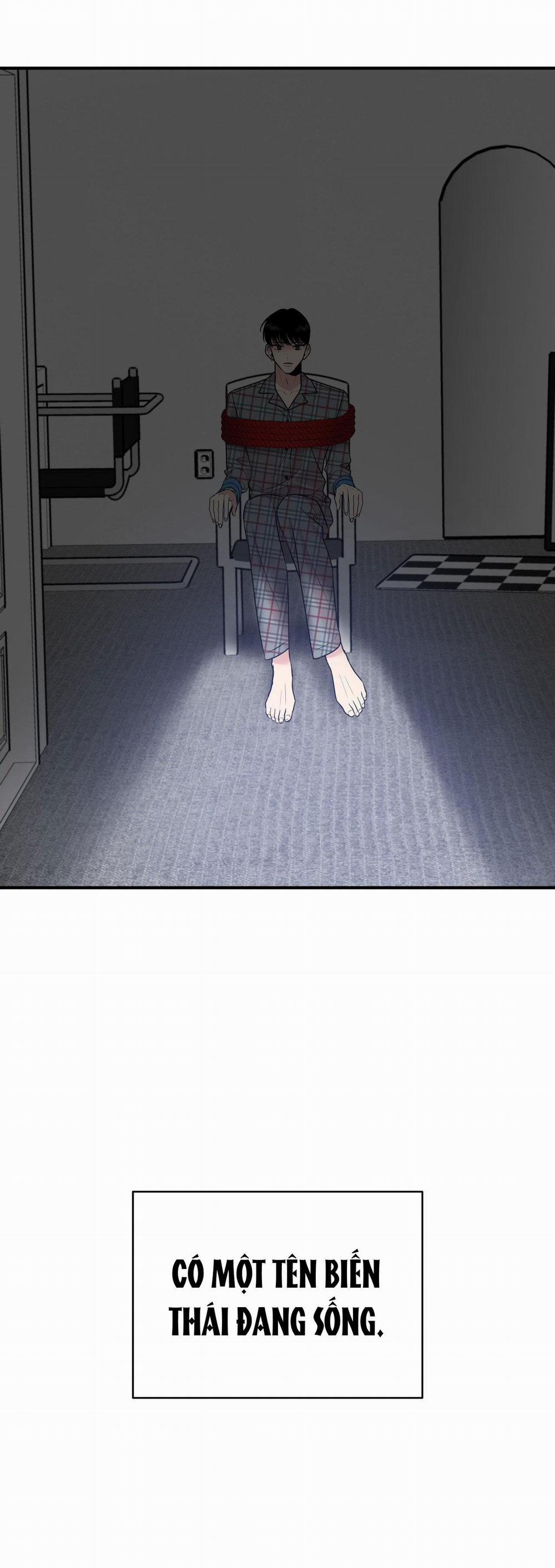 Điều 260 Bộ Luật Hình Sự 2 trang 58