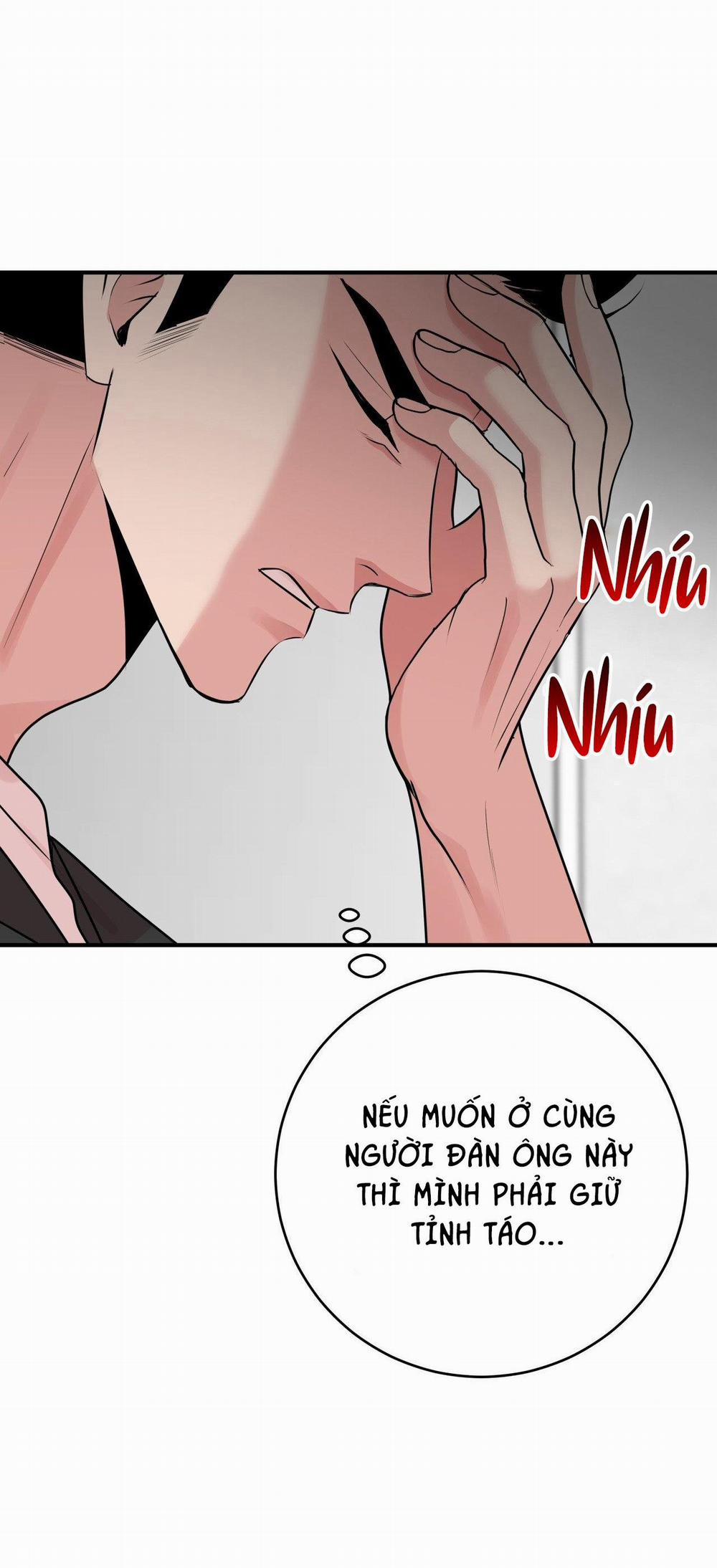 Điều 260 Bộ Luật Hình Sự 3 H+ trang 23