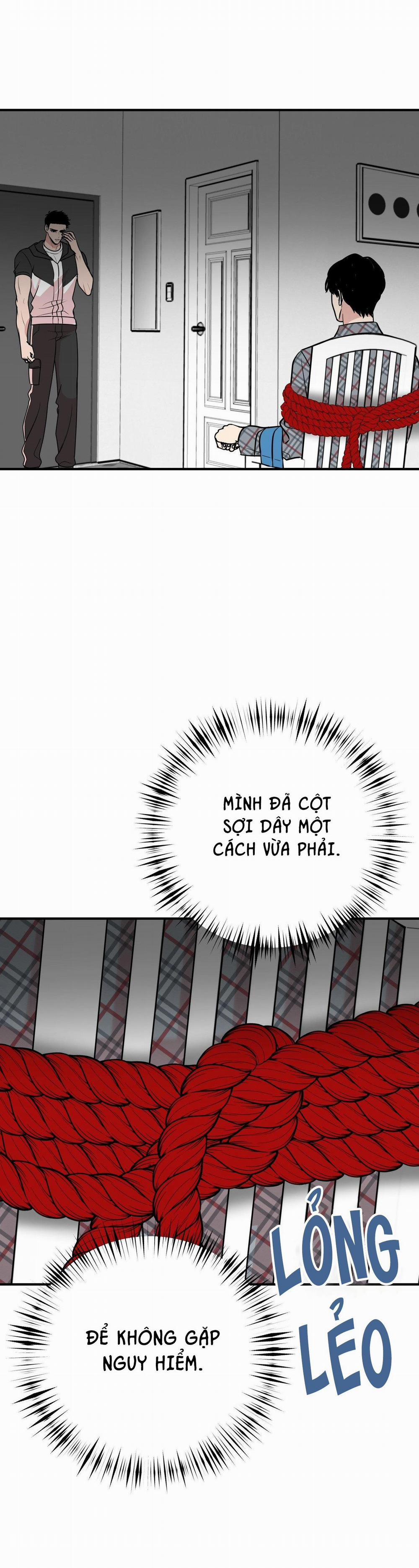 Điều 260 Bộ Luật Hình Sự 3 H+ trang 24