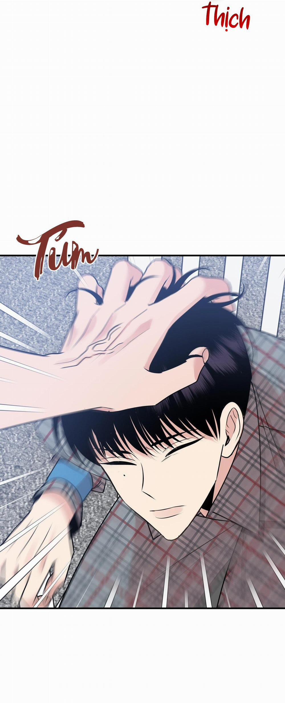 Điều 260 Bộ Luật Hình Sự 3 H+ trang 27