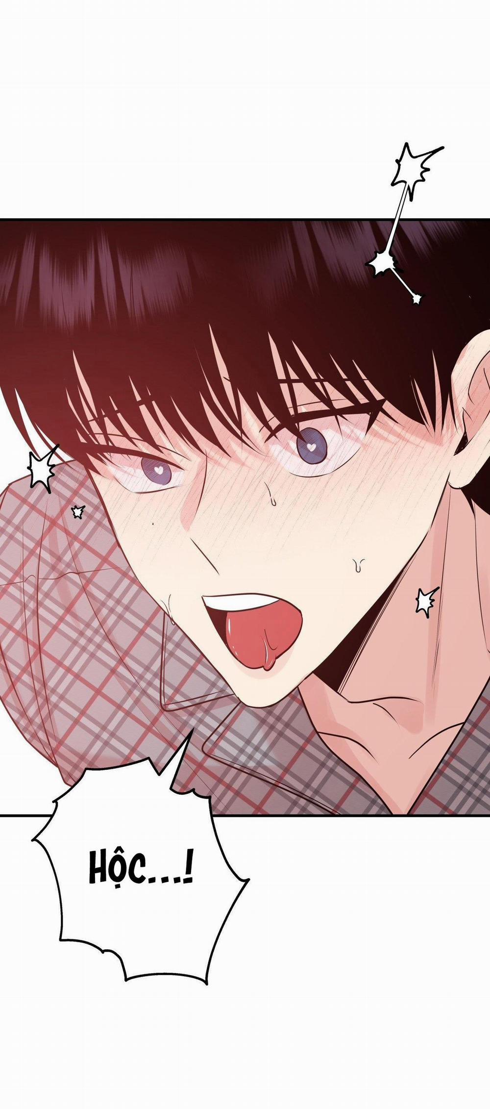 Điều 260 Bộ Luật Hình Sự 3 H+ trang 44