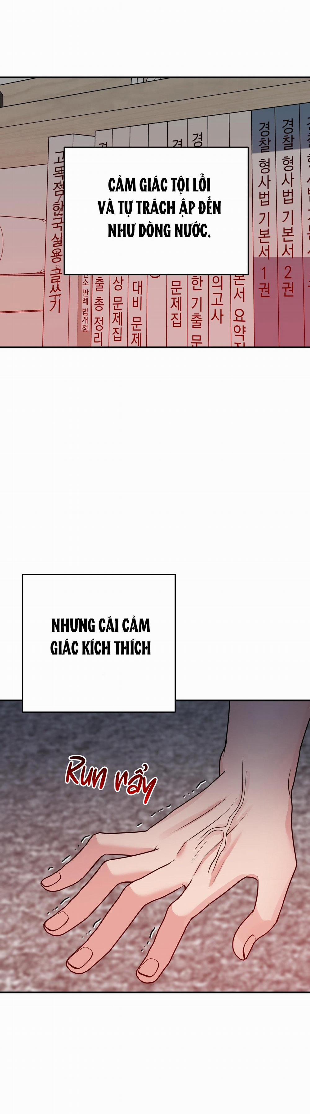 Điều 260 Bộ Luật Hình Sự 3 H+ trang 48