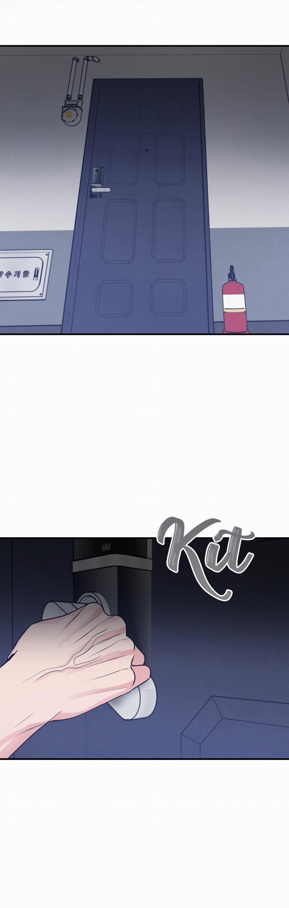 Điều 260 Bộ Luật Hình Sự 3 trang 13