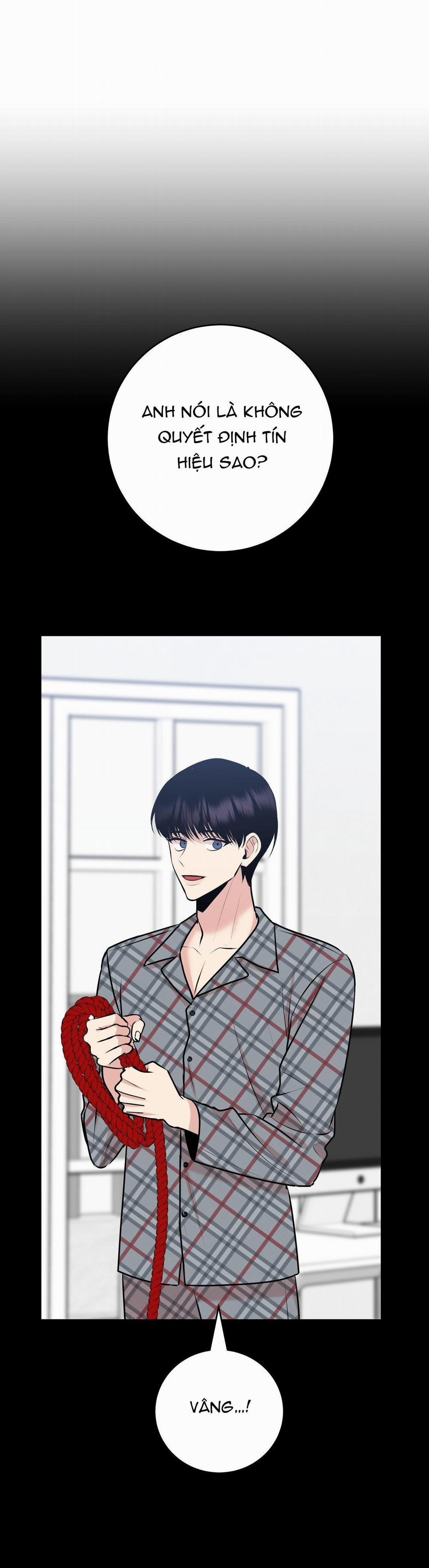 Điều 260 Bộ Luật Hình Sự 3 trang 19