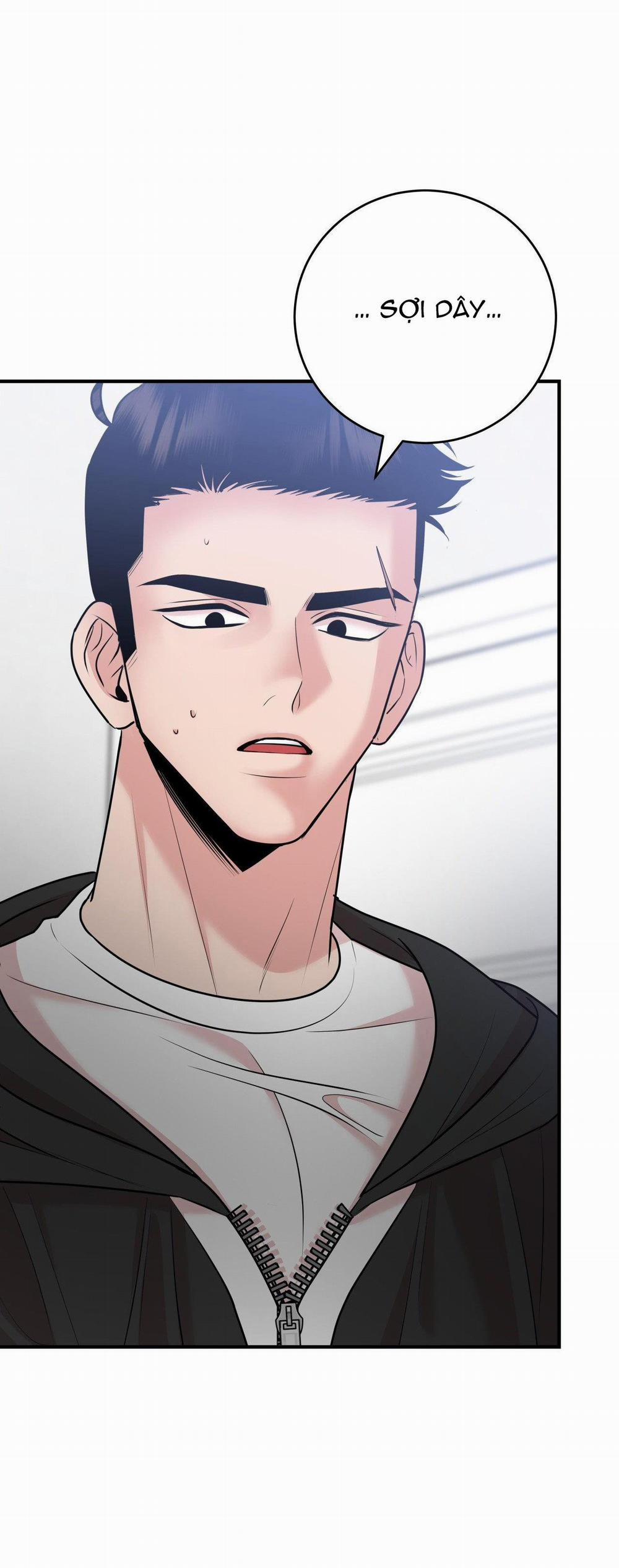 Điều 260 Bộ Luật Hình Sự 3 trang 32