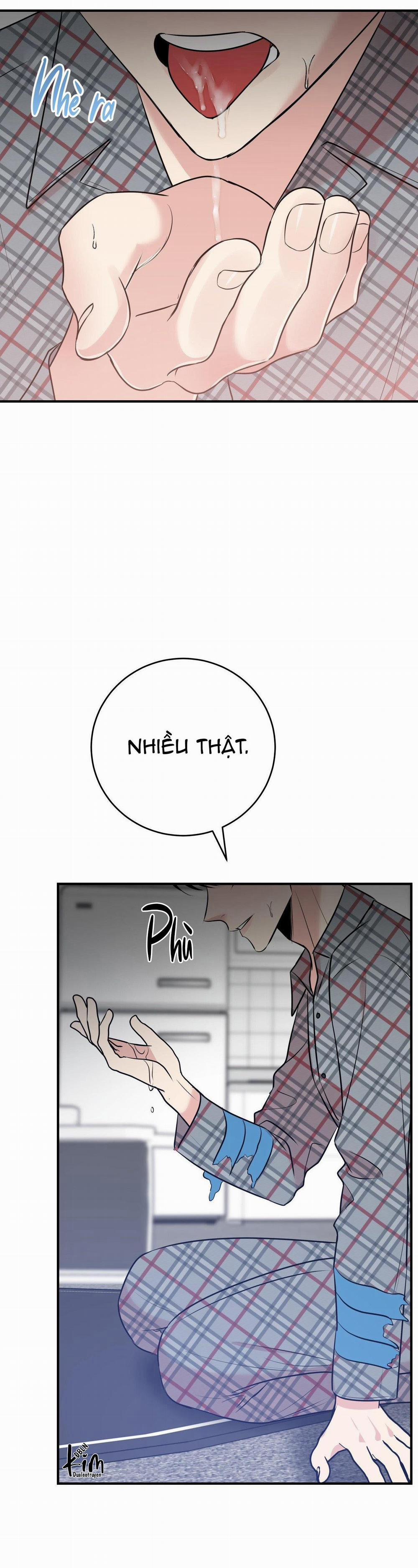 Điều 260 Bộ Luật Hình Sự 4 trang 15