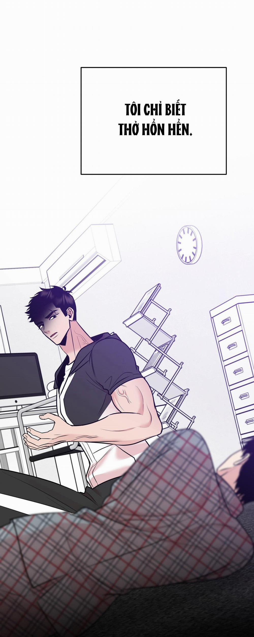 Điều 260 Bộ Luật Hình Sự 4 trang 2