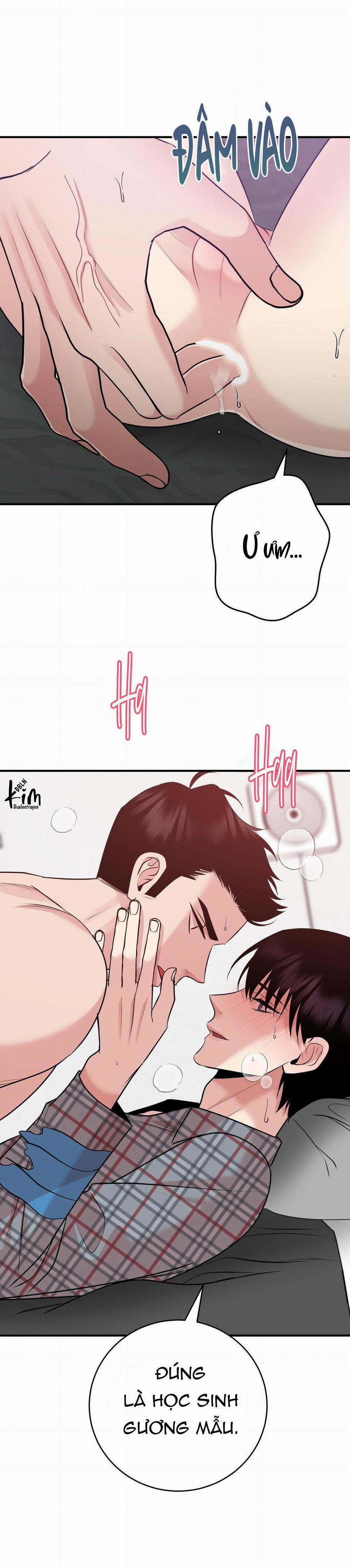 Điều 260 Bộ Luật Hình Sự 4 trang 21