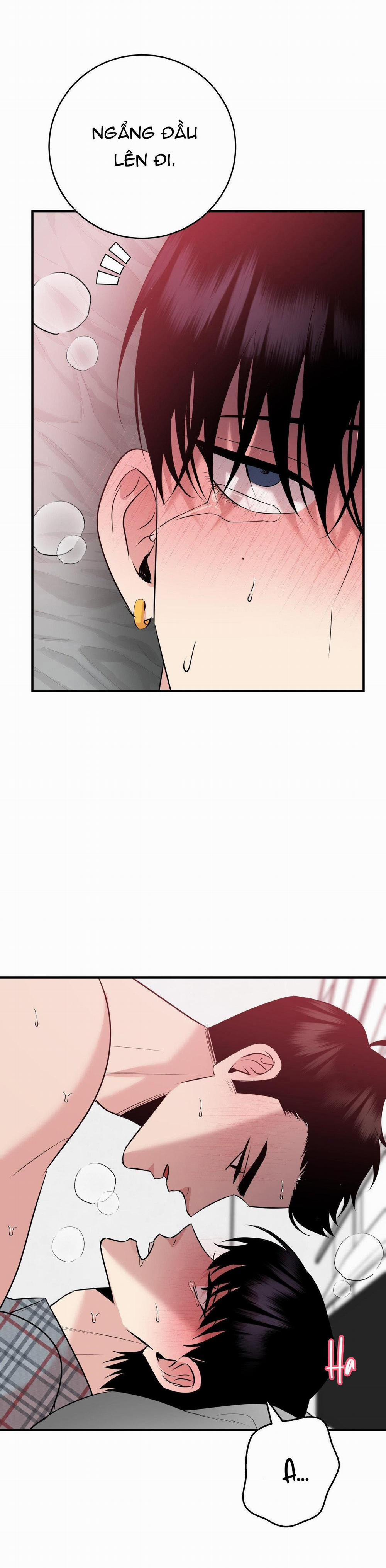 Điều 260 Bộ Luật Hình Sự 4 trang 36