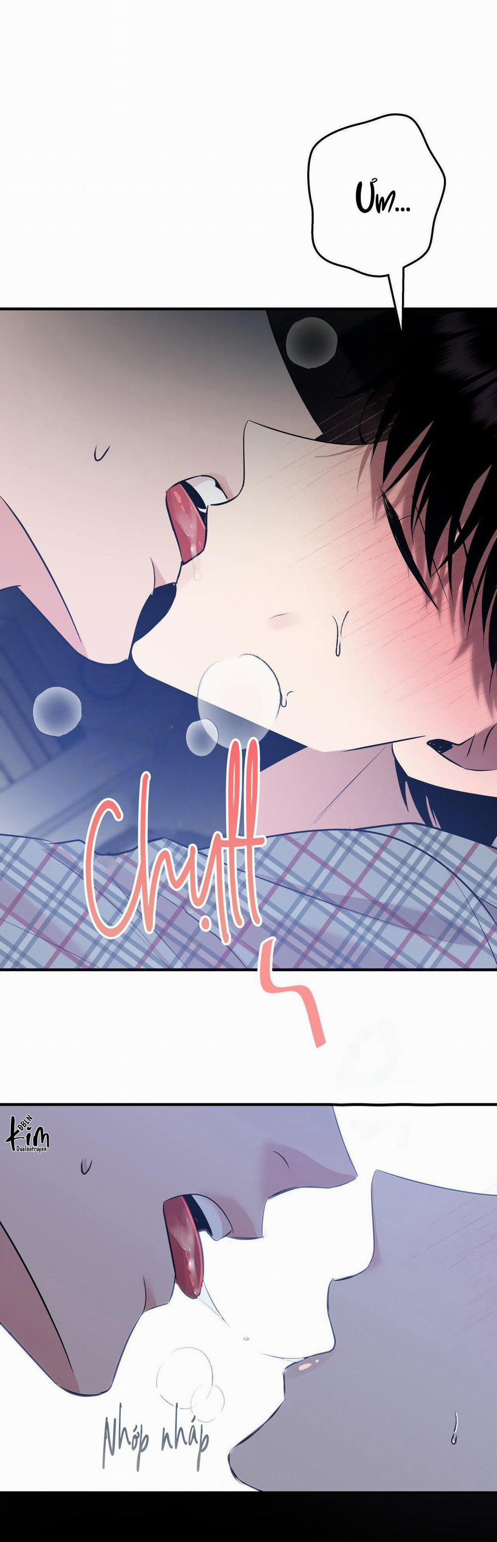 Điều 260 Bộ Luật Hình Sự 4 trang 38