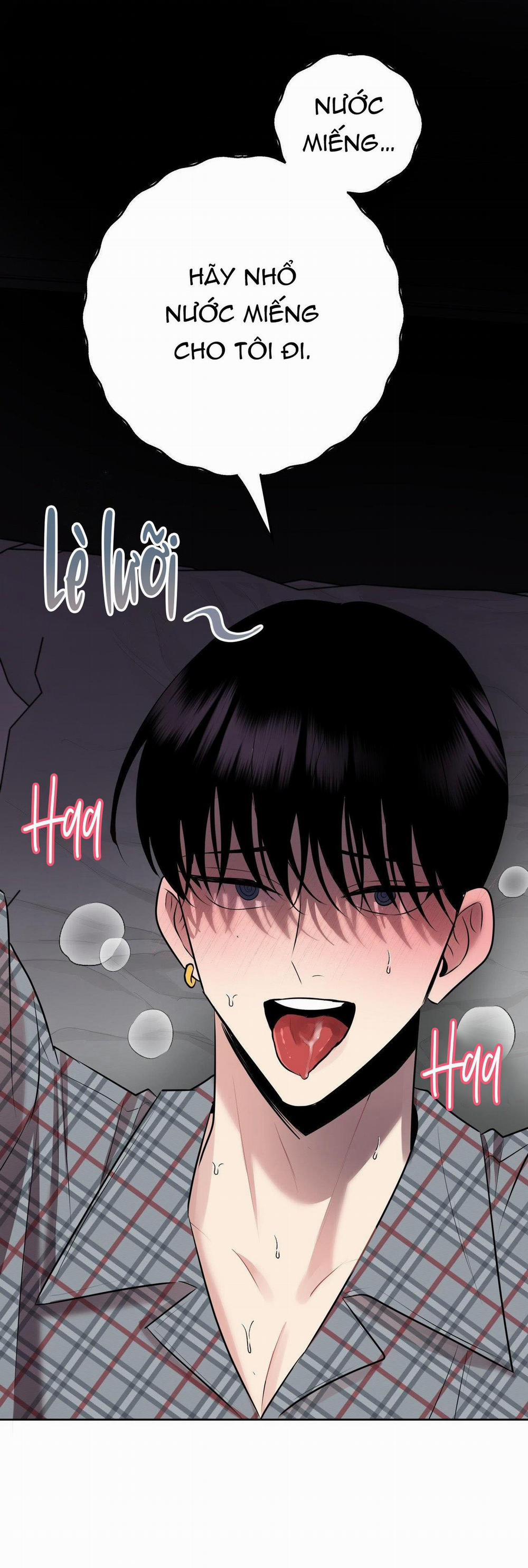 Điều 260 Bộ Luật Hình Sự 4 trang 39