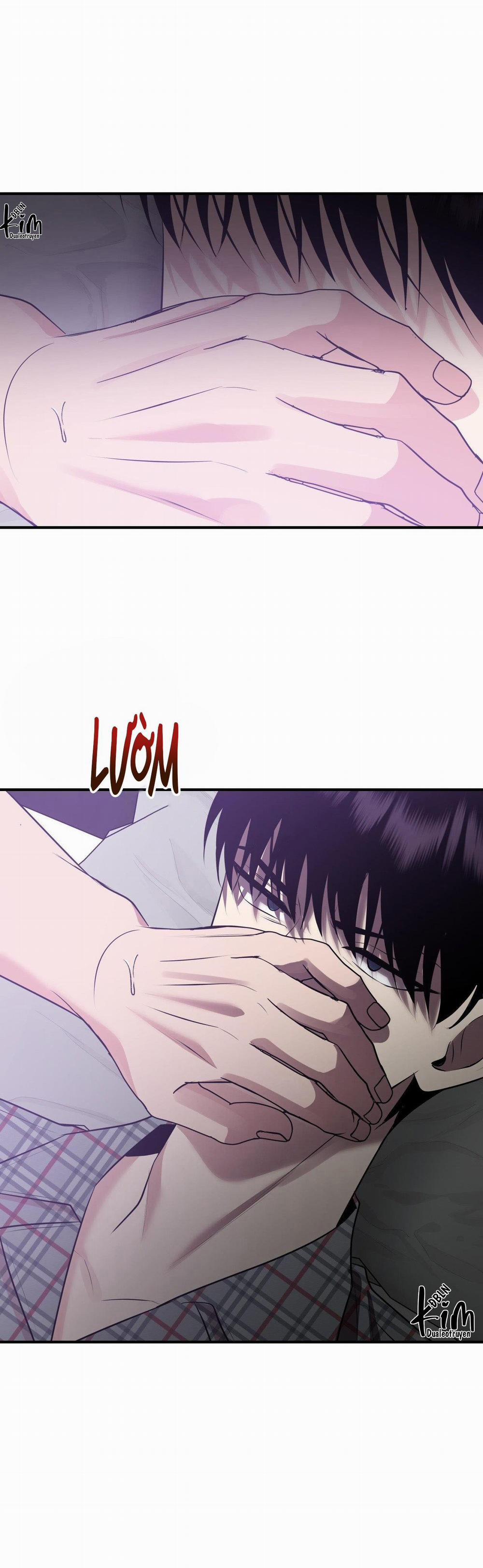 Điều 260 Bộ Luật Hình Sự 4 trang 43