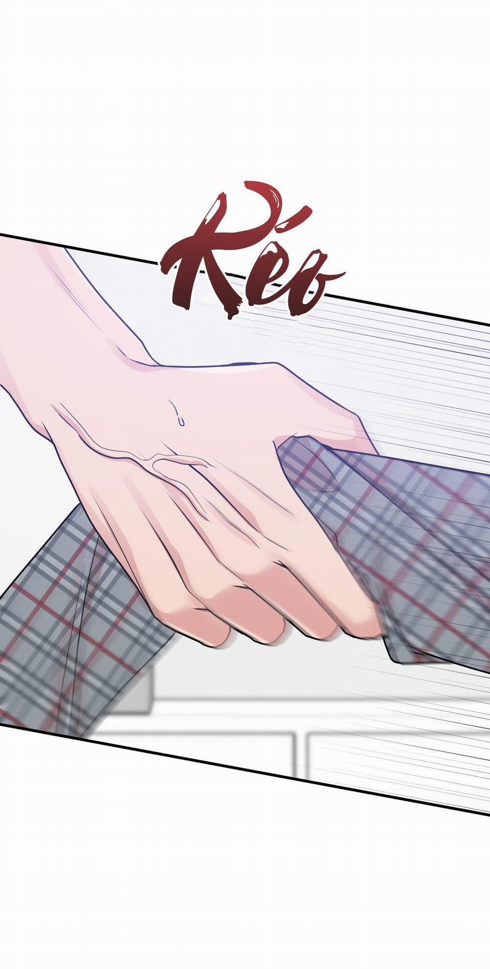 Điều 260 Bộ Luật Hình Sự 5 trang 12