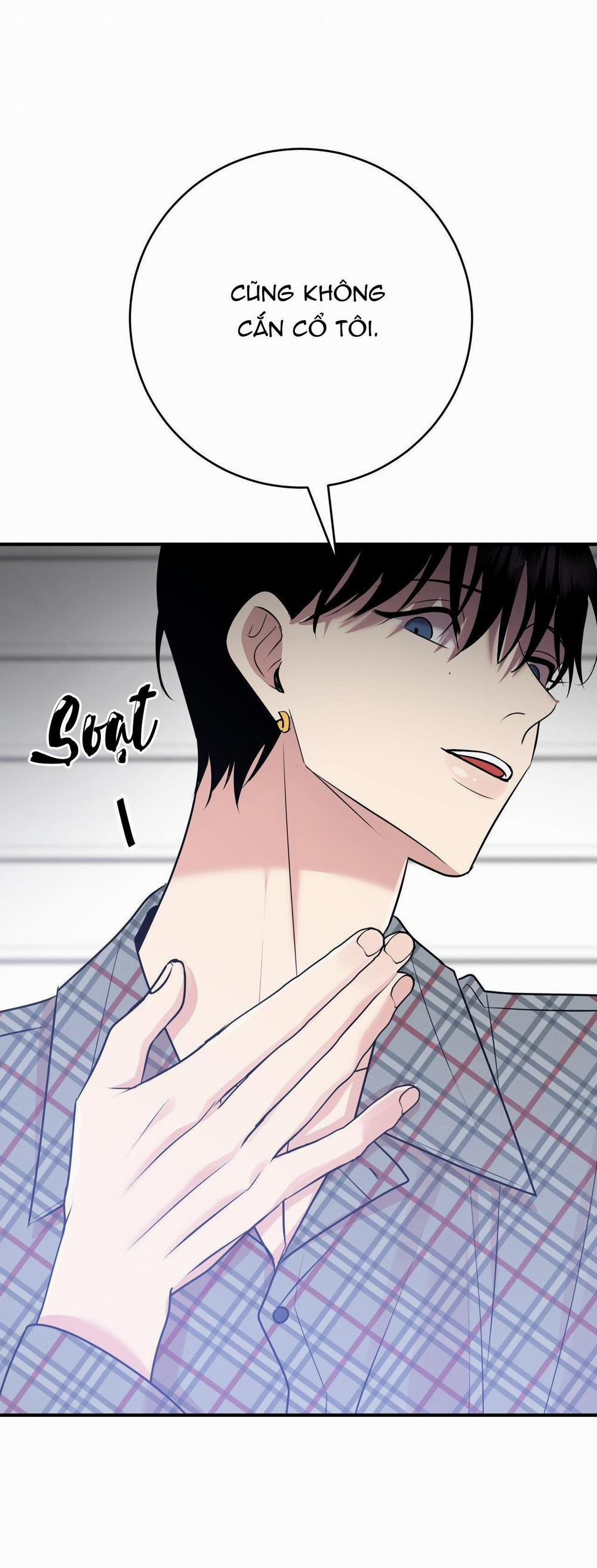 Điều 260 Bộ Luật Hình Sự 5 trang 29