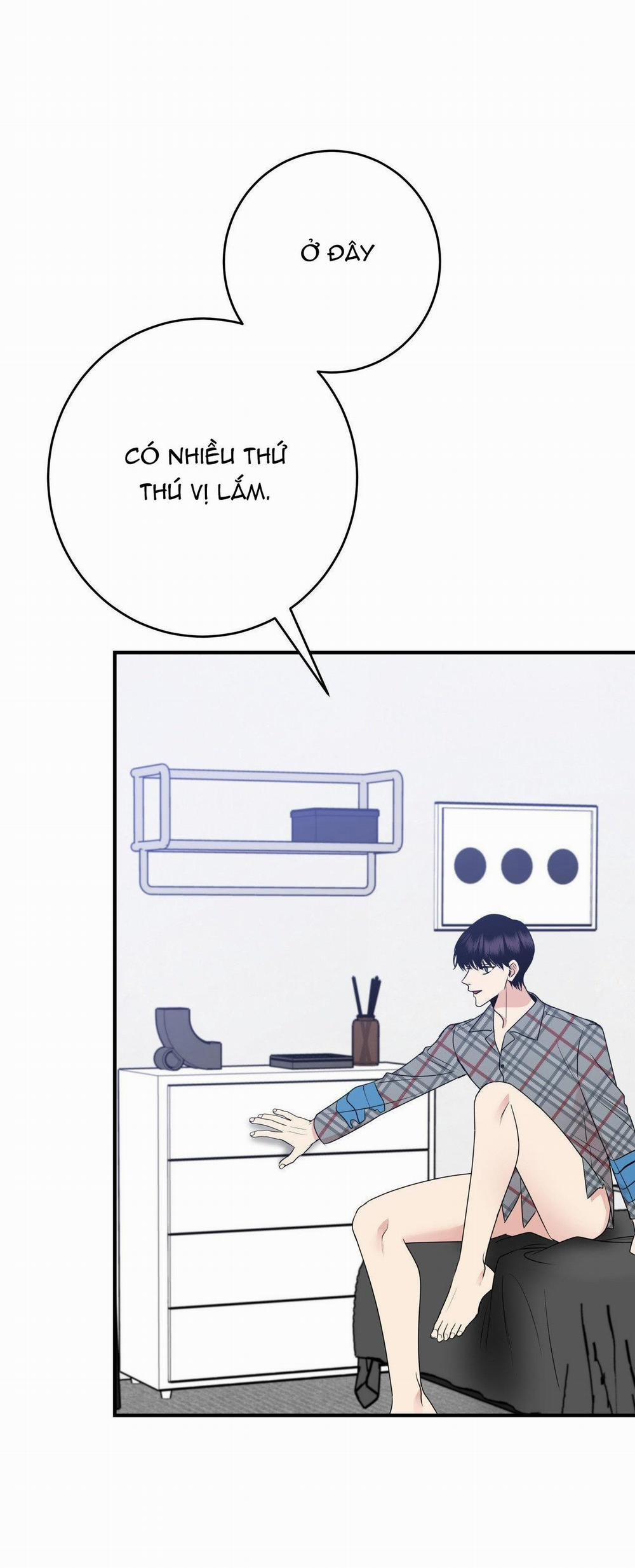 Điều 260 Bộ Luật Hình Sự 5 trang 34