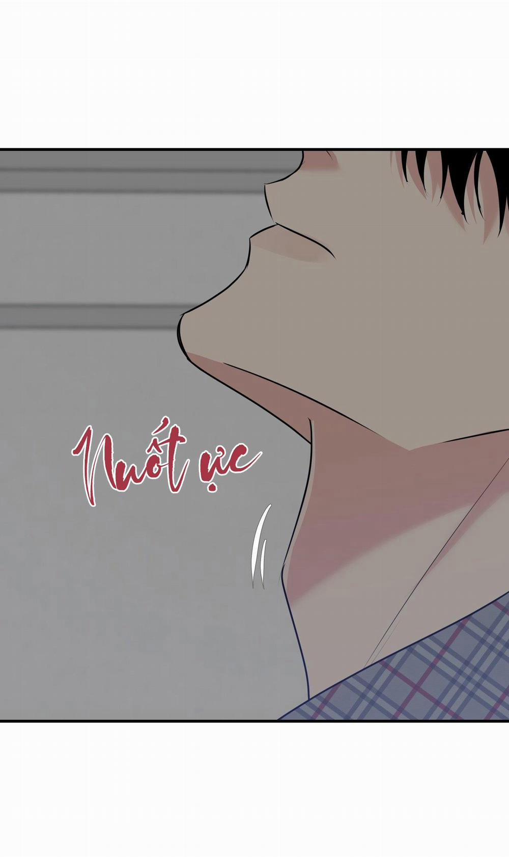 Điều 260 Bộ Luật Hình Sự 5 trang 52