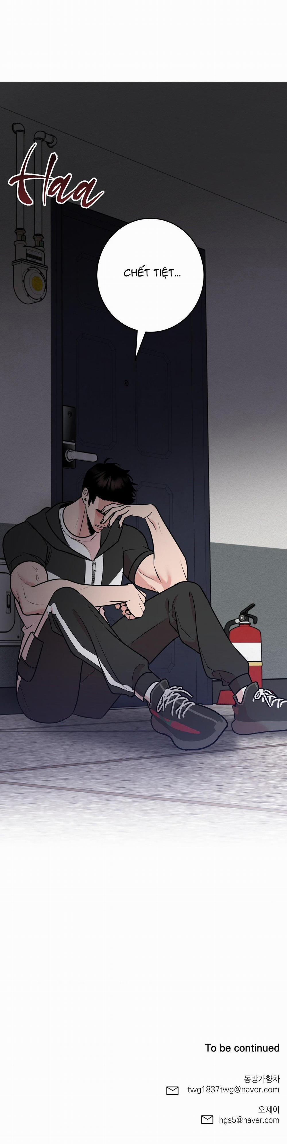 Điều 260 Bộ Luật Hình Sự 5 trang 55