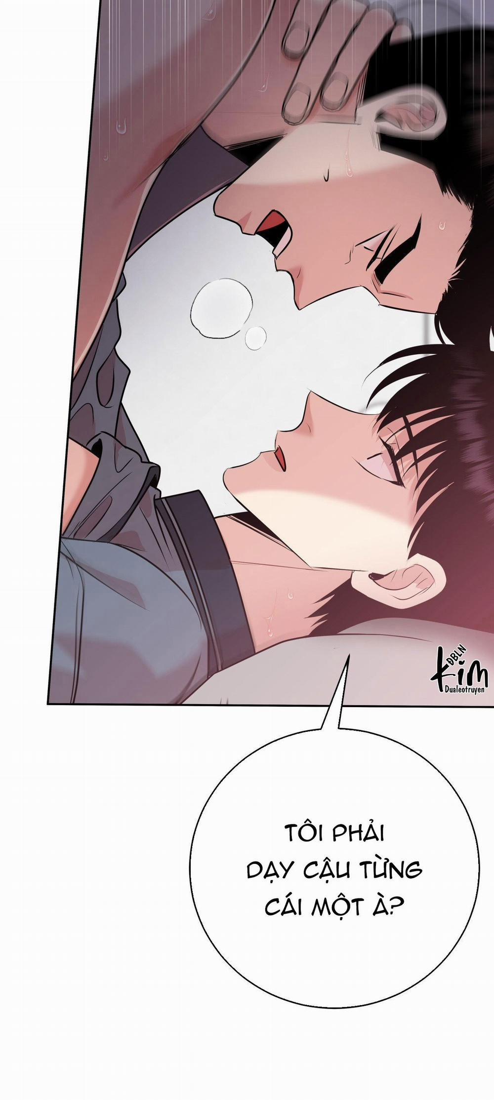 Điều 260 Bộ Luật Hình Sự 6 trang 34