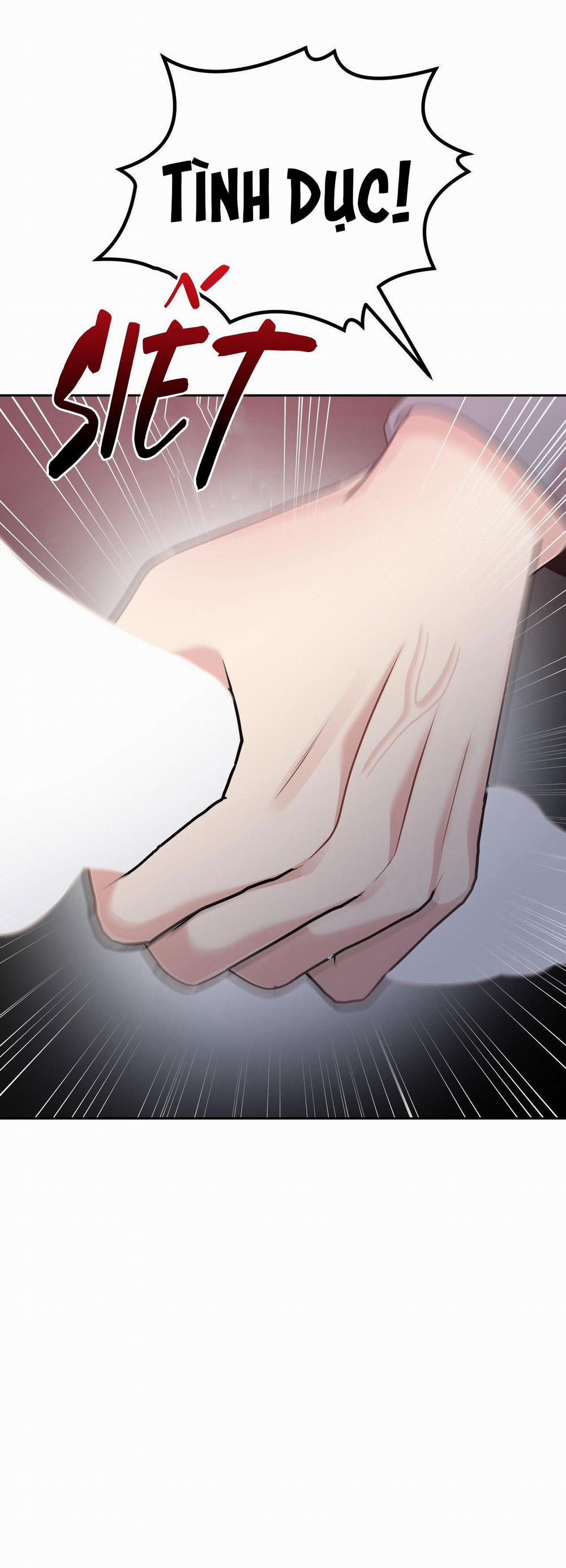 Điều 260 Bộ Luật Hình Sự 6 trang 39