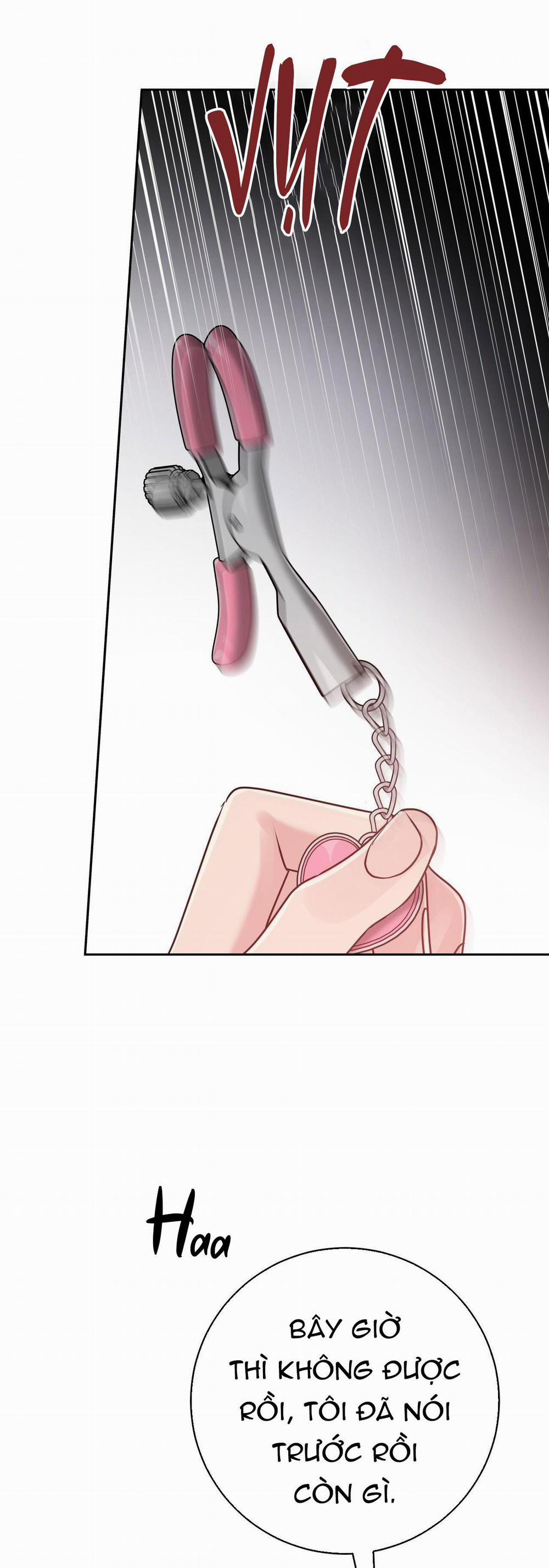 Điều 260 Bộ Luật Hình Sự 6 trang 47