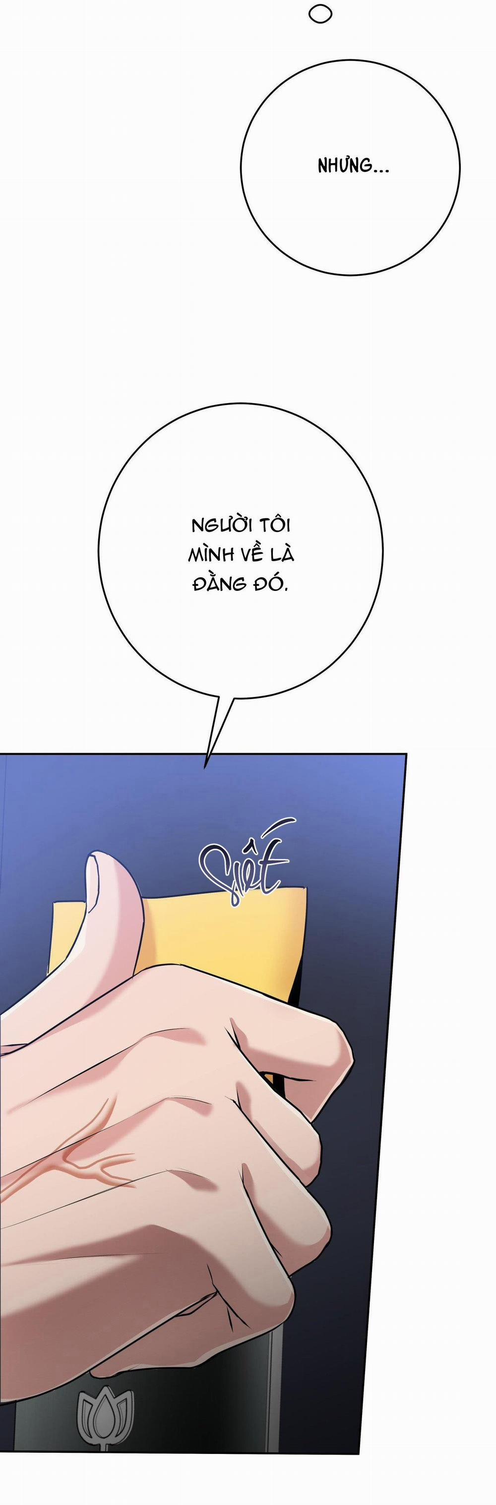 Điều 260 Bộ Luật Hình Sự 7 trang 13