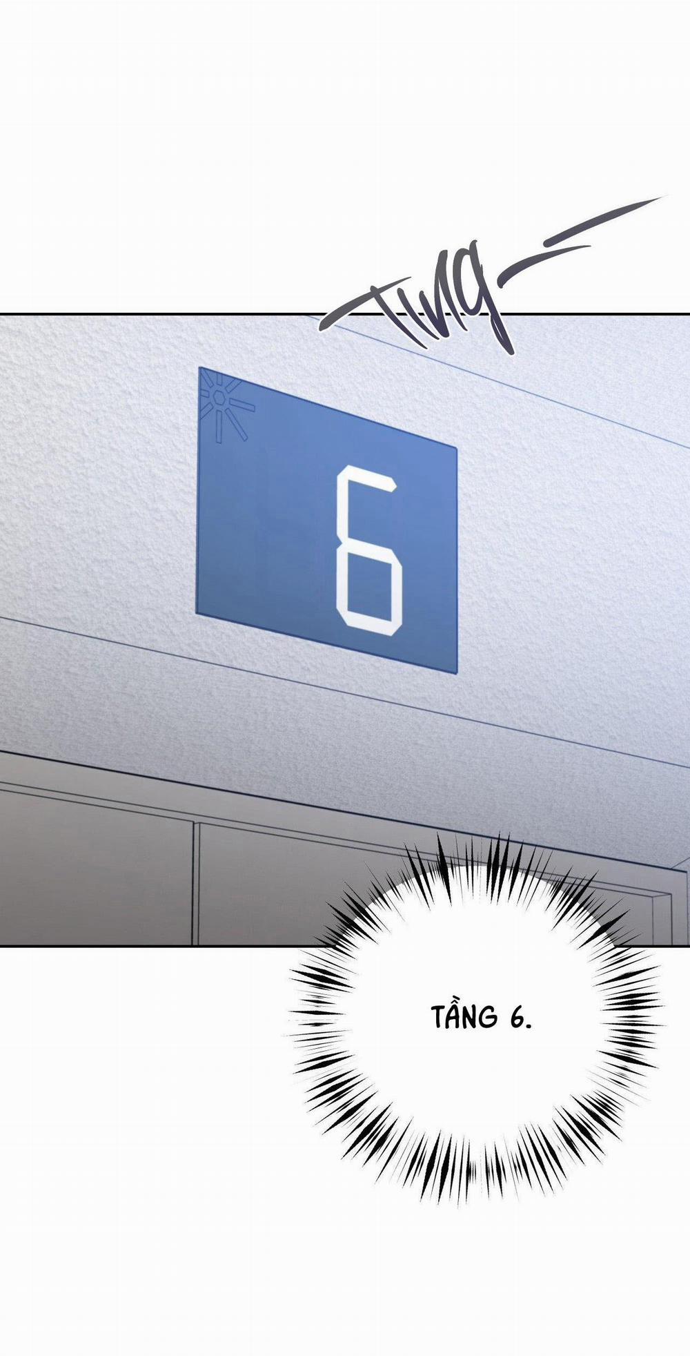 Điều 260 Bộ Luật Hình Sự 7 trang 31