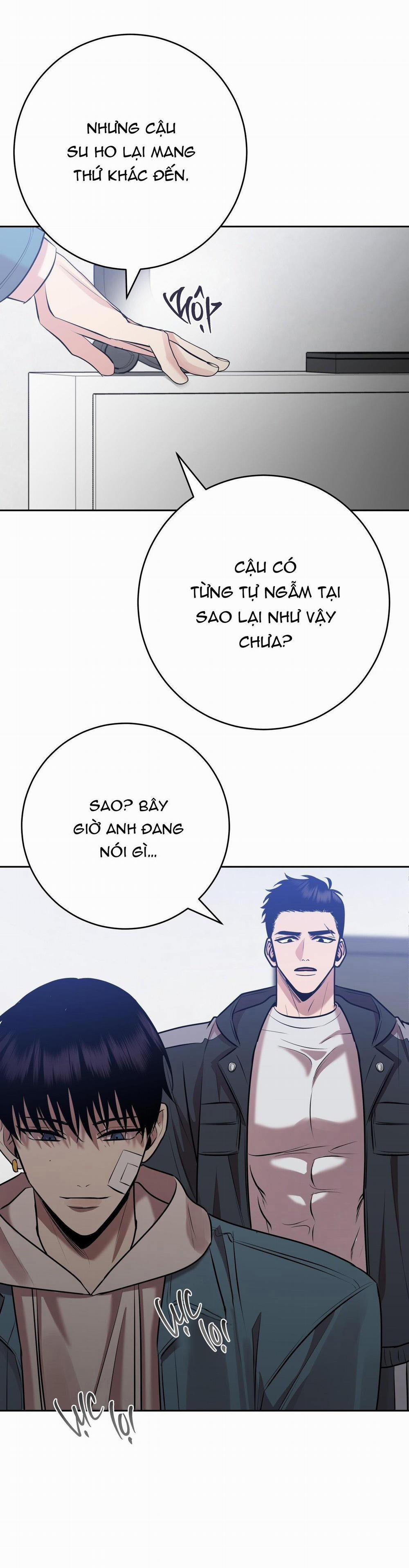 Điều 260 Bộ Luật Hình Sự 7 trang 47