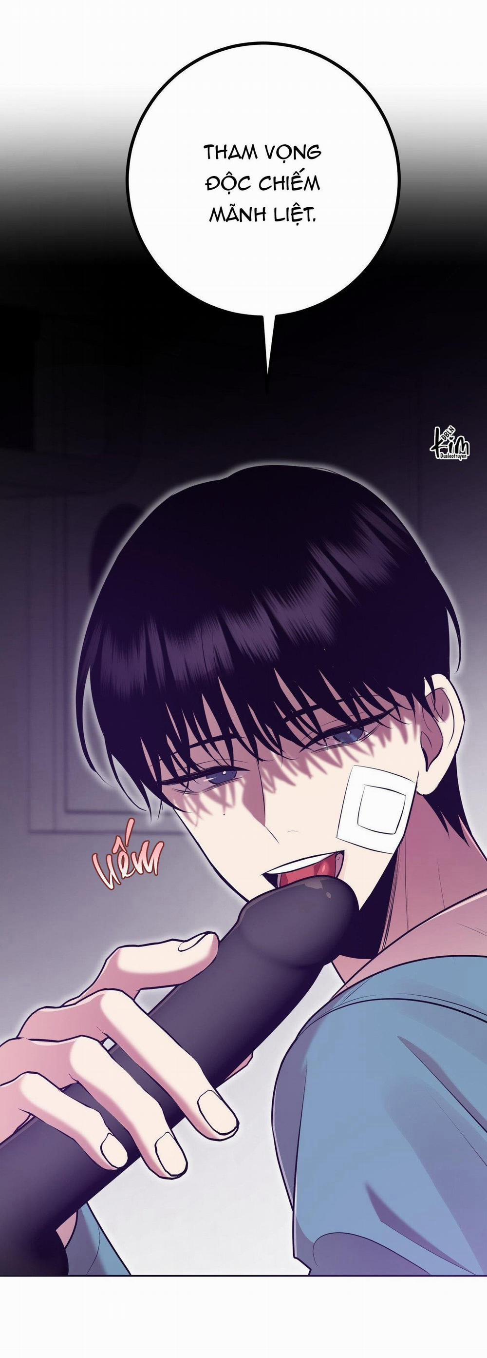 Điều 260 Bộ Luật Hình Sự 7 trang 49